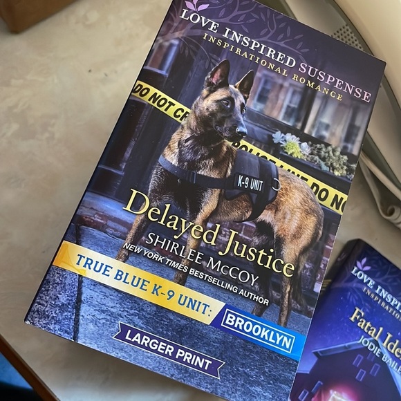 Love inspired inspirational romance & Lovr‎ inspired suspense - Picture 5 of 16